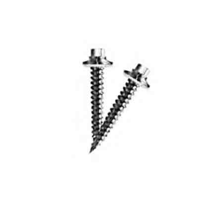 Westman Steel Products: #10 x 1 1/2” Galvanized and Painted Fasteners