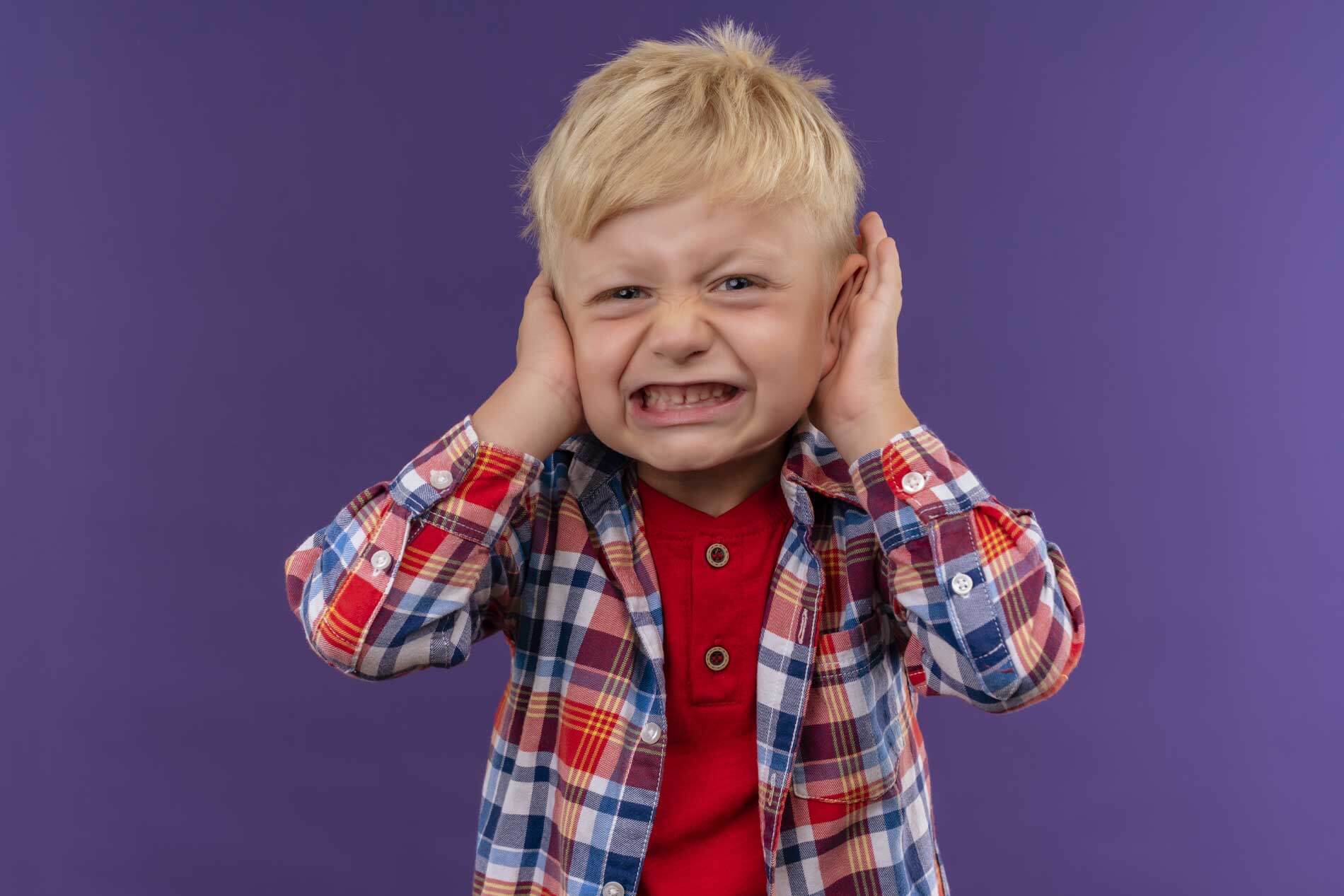 Navigate to section: Myth #2: Metal Roofs Are Noisy