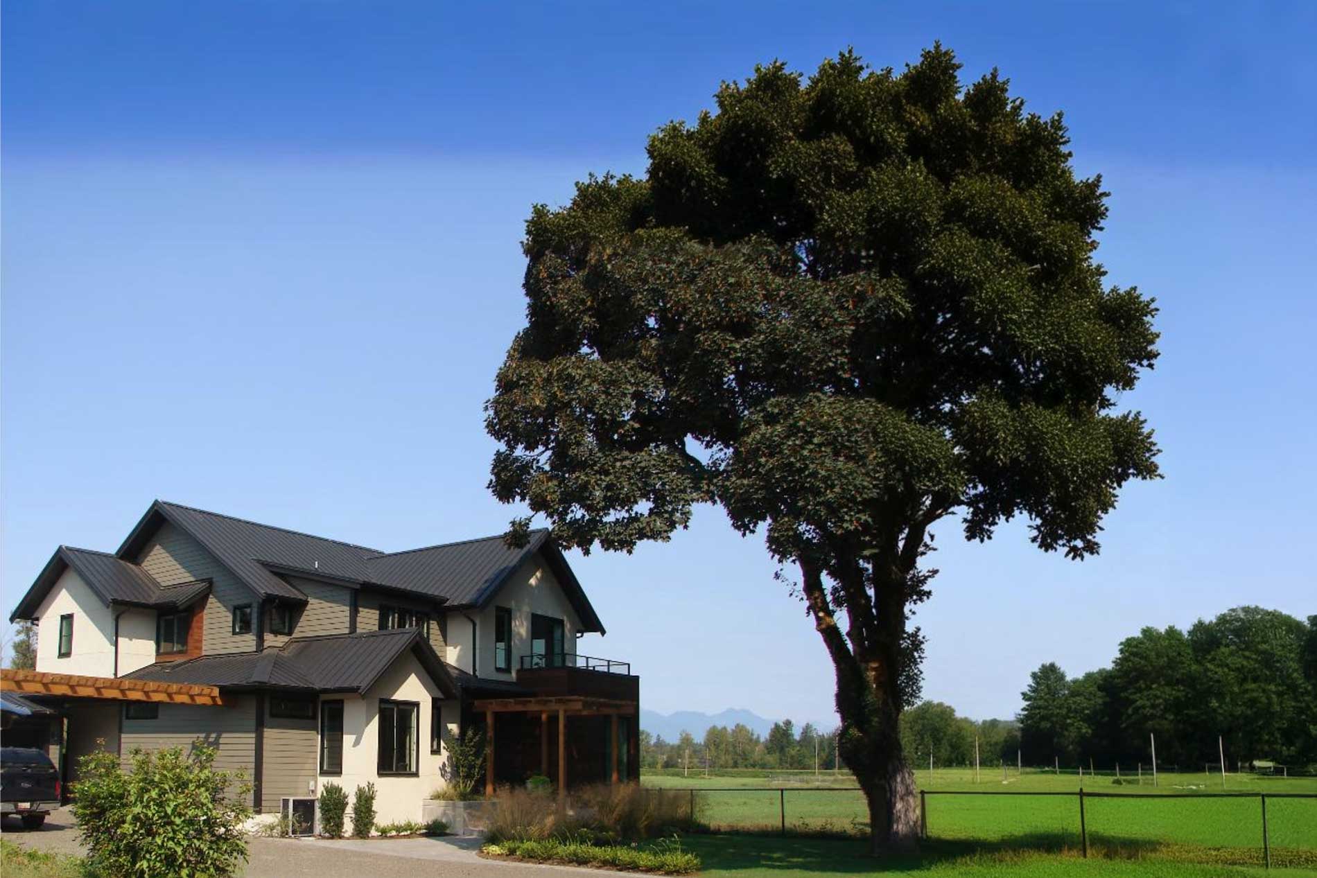 How Often Should You Clean Your Metal Roof?